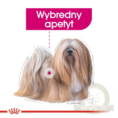 ROYAL CANIN CCN Mini Exigent 3kg ROYAL CANIN CCN Mini Exigent 3kg