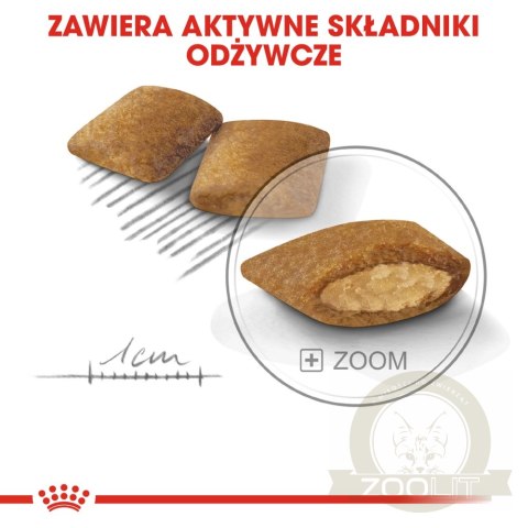 ROYAL CANIN CCN Mini Exigent 3kg ROYAL CANIN CCN Mini Exigent 3kg