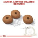 ROYAL CANIN CCN Mini Light Weight Care 8kg