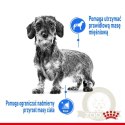 ROYAL CANIN CCN Mini Light Weight Care 8kg