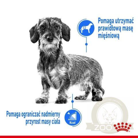 ROYAL CANIN CCN Mini Light Weight Care 8kg ROYAL CANIN CCN Mini Light Weight Care 8kg