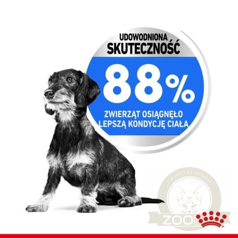 ROYAL CANIN CCN Mini Light Weight Care 8kg ROYAL CANIN CCN Mini Light Weight Care 8kg