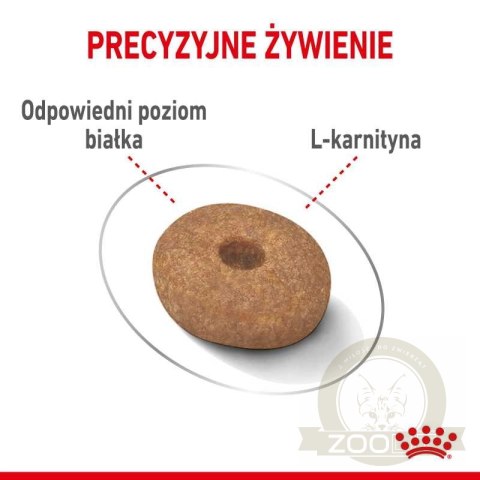 ROYAL CANIN CCN Mini Light Weight Care 8kg ROYAL CANIN CCN Mini Light Weight Care 8kg