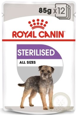 ROYAL CANIN CCN Sterilised Mini Pasztet 12x85g