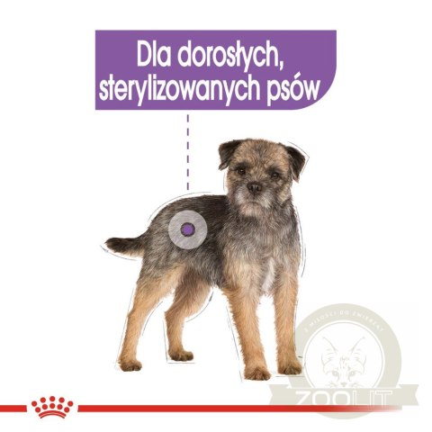 ROYAL CANIN CCN Sterilised Mini Pasztet 12x85g ROYAL CANIN CCN Sterilised Mini Pasztet 12x85g