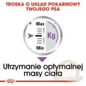 ROYAL CANIN CCN Sterilised Mini Pasztet 12x85g