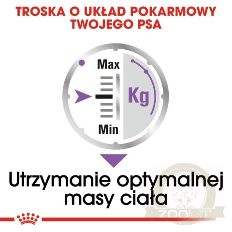 ROYAL CANIN CCN Sterilised Mini Pasztet 12x85g ROYAL CANIN CCN Sterilised Mini Pasztet 12x85g