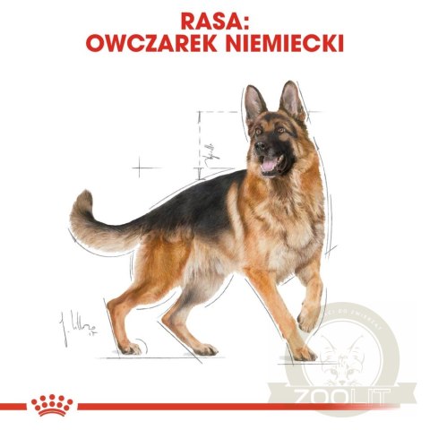 ROYAL CANIN German Shepherd Adult 11kg ROYAL CANIN German Shepherd Adult 11kg