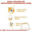 ROYAL CANIN German Shepherd Adult 11kg