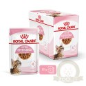 ROYAL CANIN Kitten Sterilised Sauce 12x85g
