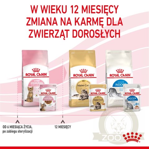ROYAL CANIN Kitten Sterilised Sauce 12x85g ROYAL CANIN Kitten Sterilised Sauce 12x85g