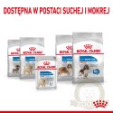 ROYAL CANIN Light Weight Care Pasztet 12x85g