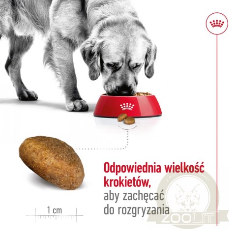 ROYAL CANIN Maxi Adult 4kg ROYAL CANIN Maxi Adult 4kg