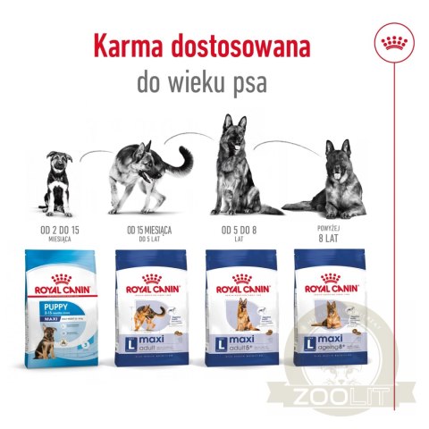ROYAL CANIN Maxi Adult 4kg ROYAL CANIN Maxi Adult 4kg