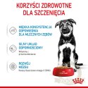ROYAL CANIN Maxi Puppy 10x140g