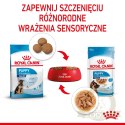 ROYAL CANIN Maxi Puppy 10x140g