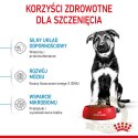 ROYAL CANIN Maxi Puppy 1kg