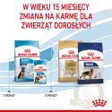 ROYAL CANIN Maxi Puppy 1kg
