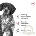 ROYAL CANIN Medium Adult 10x140g