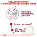 ROYAL CANIN Medium Adult 4kg