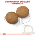 ROYAL CANIN Medium Adult 4kg
