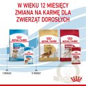 ROYAL CANIN Medium Puppy 10x140g