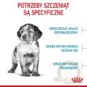 ROYAL CANIN Medium Puppy 1kg