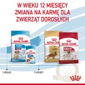 ROYAL CANIN Medium Puppy 1kg
