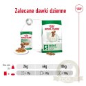 ROYAL CANIN Mini Adult 12x85g