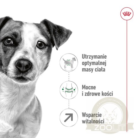 ROYAL CANIN Mini Adult 8+ 2kg ROYAL CANIN Mini Adult 8+ 2kg