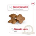 ROYAL CANIN Mini Adult 8+ 2kg