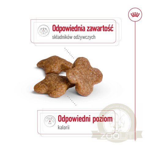 ROYAL CANIN Mini Adult 8+ 2kg ROYAL CANIN Mini Adult 8+ 2kg