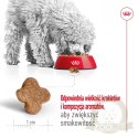 ROYAL CANIN Mini Adult 8+ 2kg