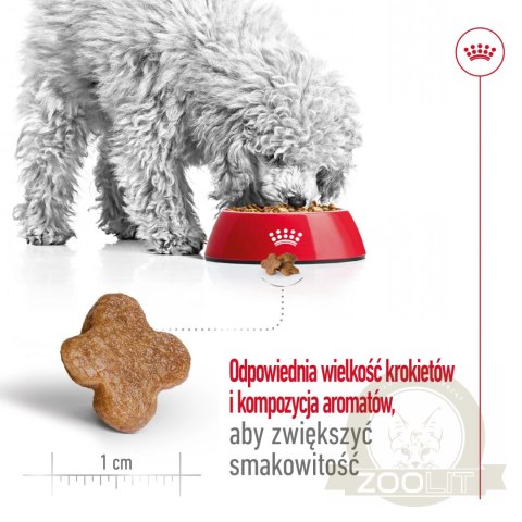 ROYAL CANIN Mini Adult 8+ 2kg ROYAL CANIN Mini Adult 8+ 2kg