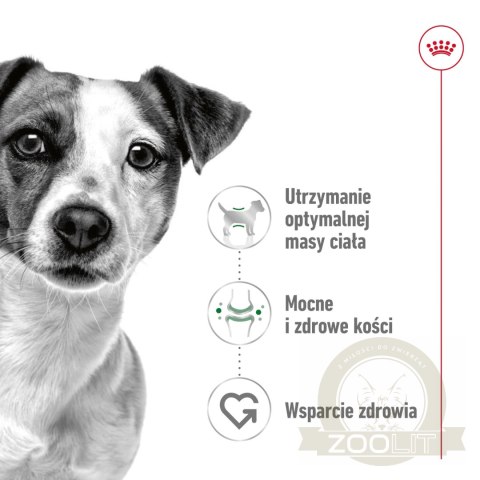 ROYAL CANIN Mini Adult 800g ROYAL CANIN Mini Adult 800g