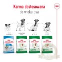 ROYAL CANIN Mini Adult 800g
