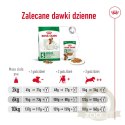 ROYAL CANIN Mini Adult 800g