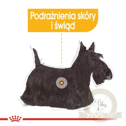 ROYAL CANIN Mini Dermacomfort 8kg ROYAL CANIN Mini Dermacomfort 8kg