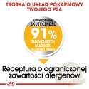 ROYAL CANIN Mini Dermacomfort 8kg