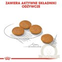 ROYAL CANIN Mini Dermacomfort 8kg