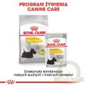 ROYAL CANIN Mini Dermacomfort 8kg