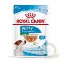 ROYAL CANIN Mini Puppy 12x85g