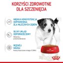 ROYAL CANIN Mini Puppy 12x85g