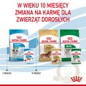 ROYAL CANIN Mini Puppy 12x85g
