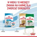 ROYAL CANIN Mini Puppy 800g
