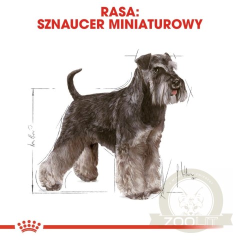 ROYAL CANIN Miniature Schnauzer Adult 3kg ROYAL CANIN Miniature Schnauzer Adult 3kg