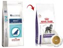 ROYAL CANIN Neutered Adult Large Dog 12kg