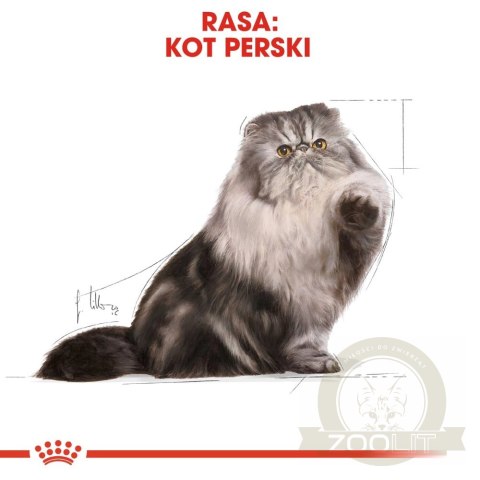 ROYAL CANIN Persian Adult 10kg ROYAL CANIN Persian Adult 10kg