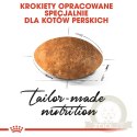 ROYAL CANIN Persian Adult 10kg