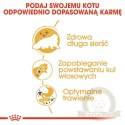 ROYAL CANIN Persian Adult 10kg